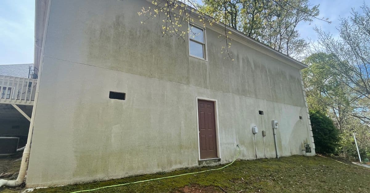 8 Harmful Effects of Algae on the Exterior of Your Home image