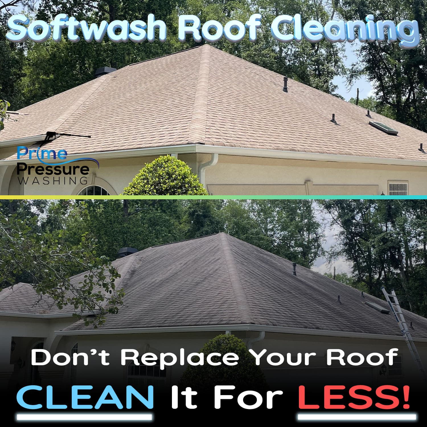 Roof Revival with Softwash Cleaning image