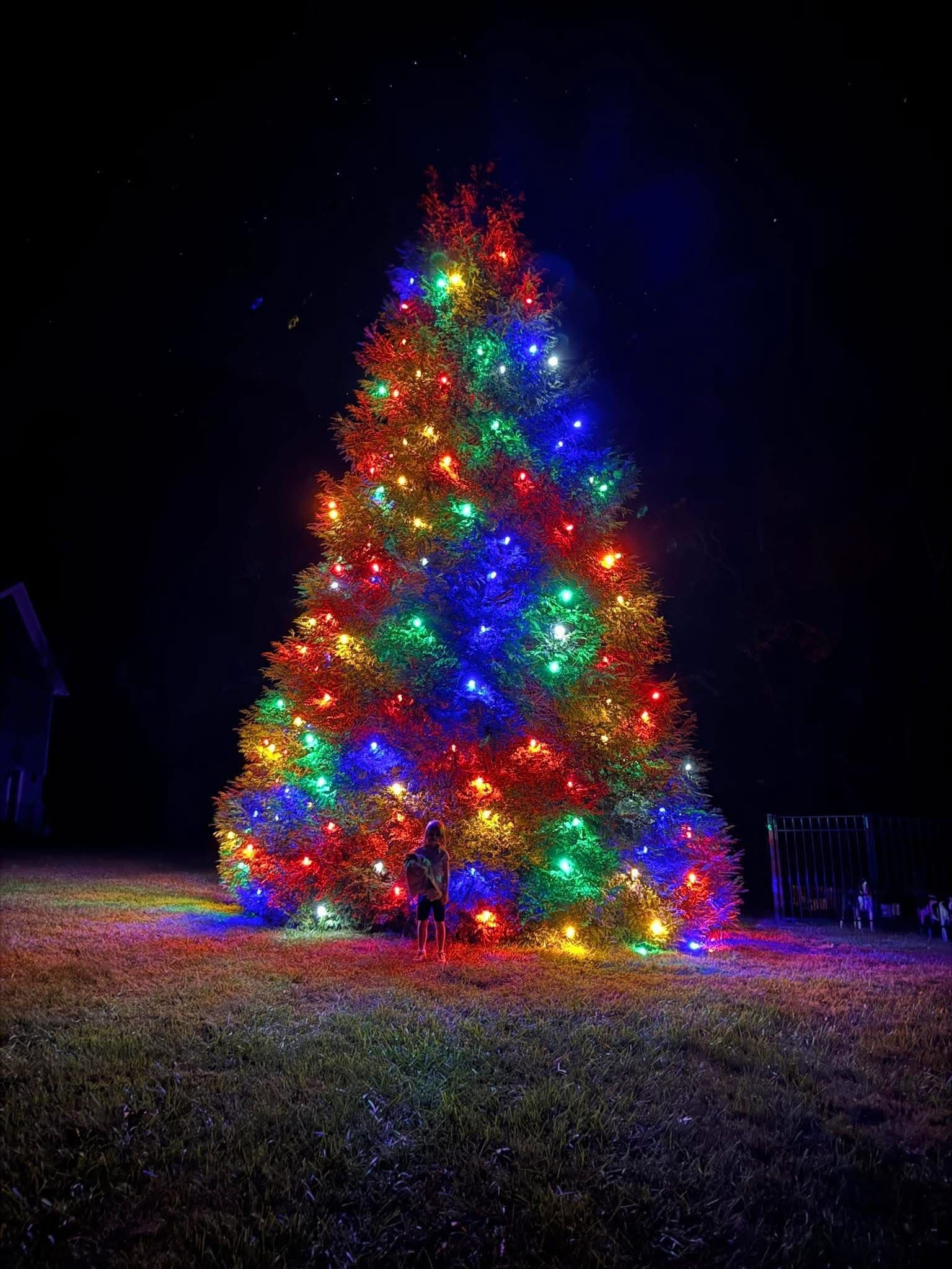 Festive Holiday Lights Installation Brightens the Season image