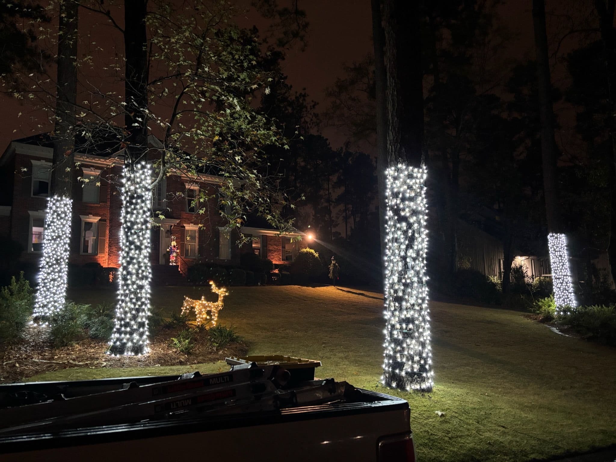 Project Festive Holiday Light Installation - Creating a Winter Wonderland image