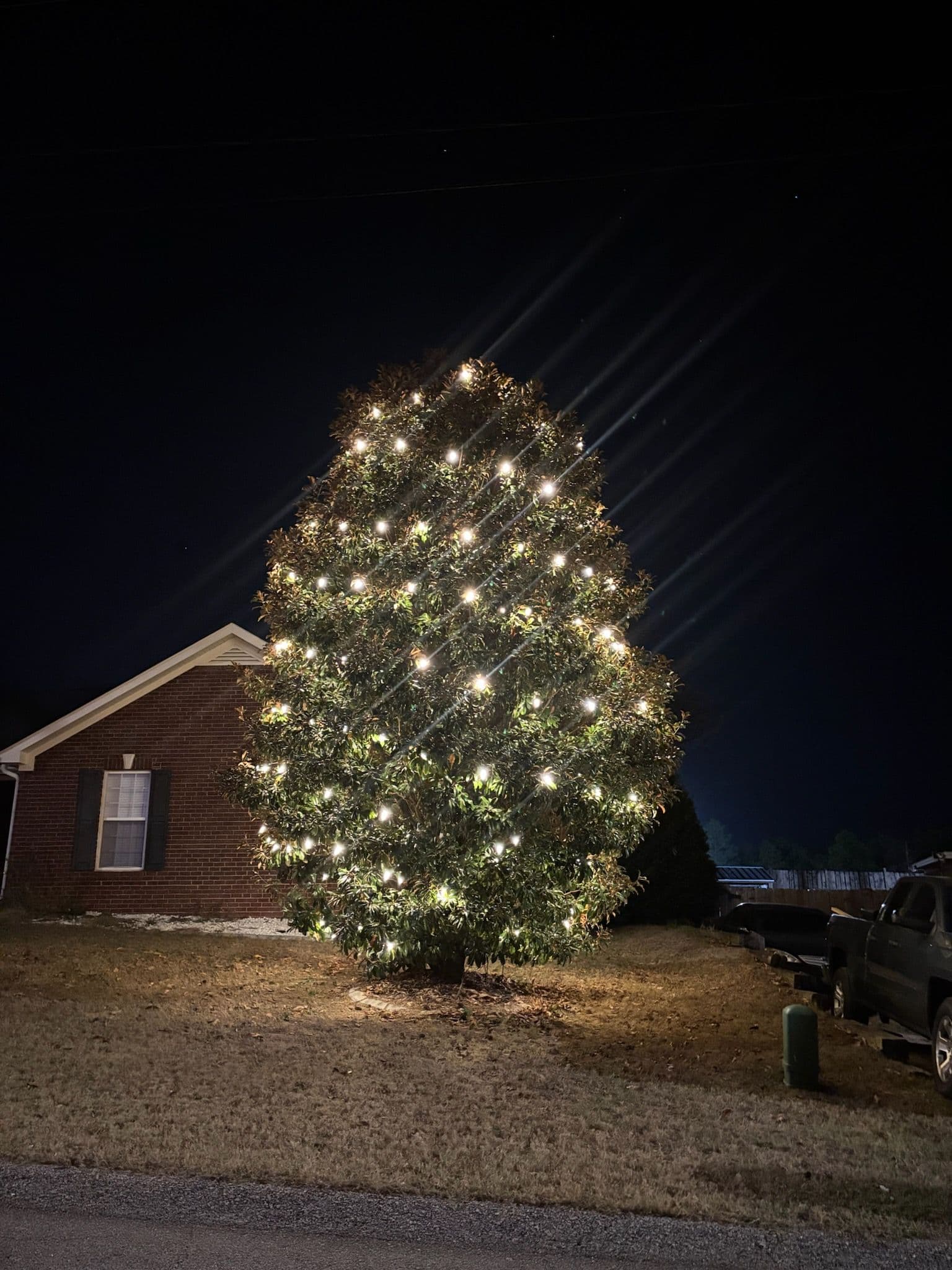 Festive Tree Lighting by Prime Pressure Washing LLC image