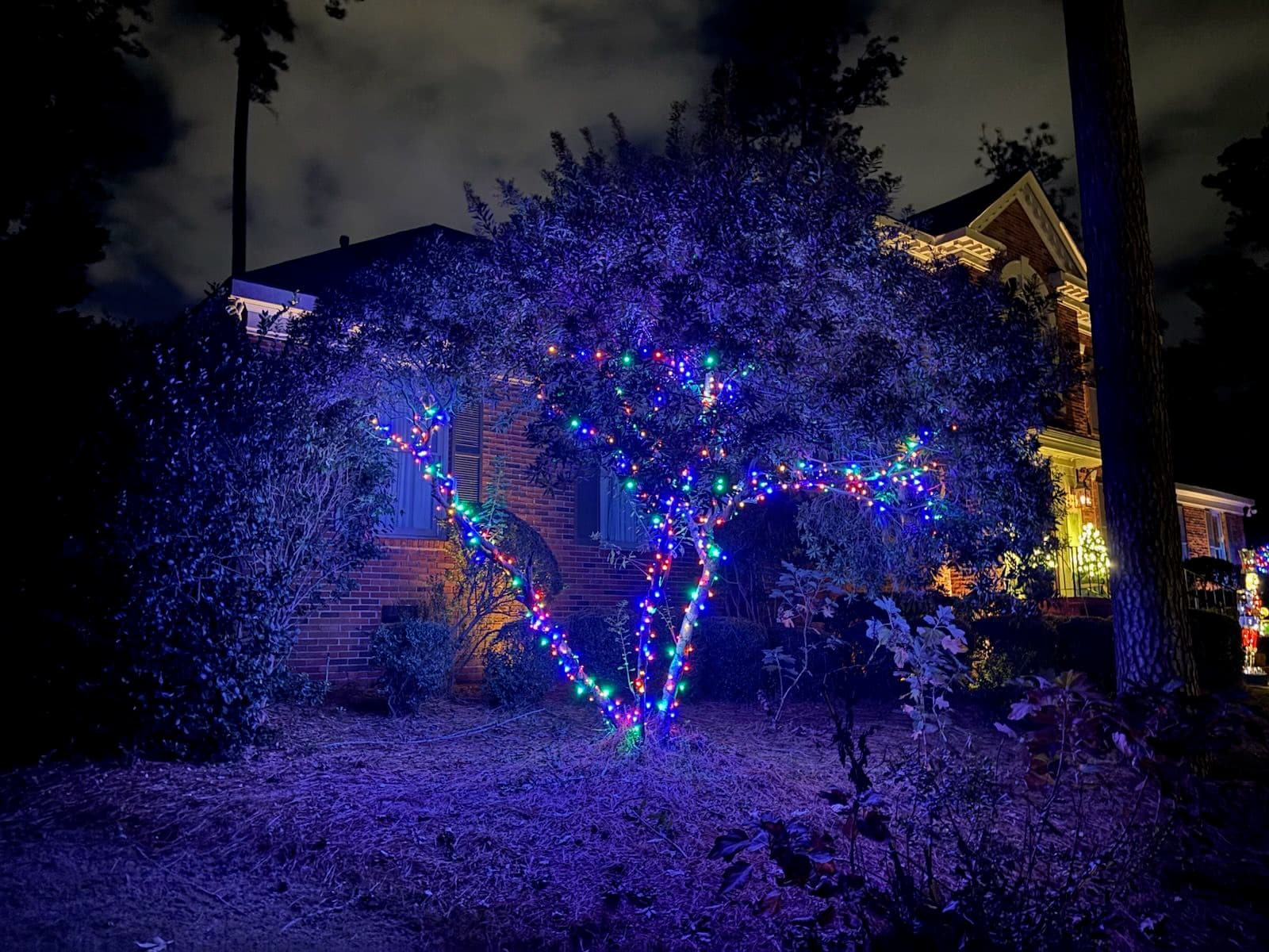 Holiday Lights Installation for a Sparkling Season image